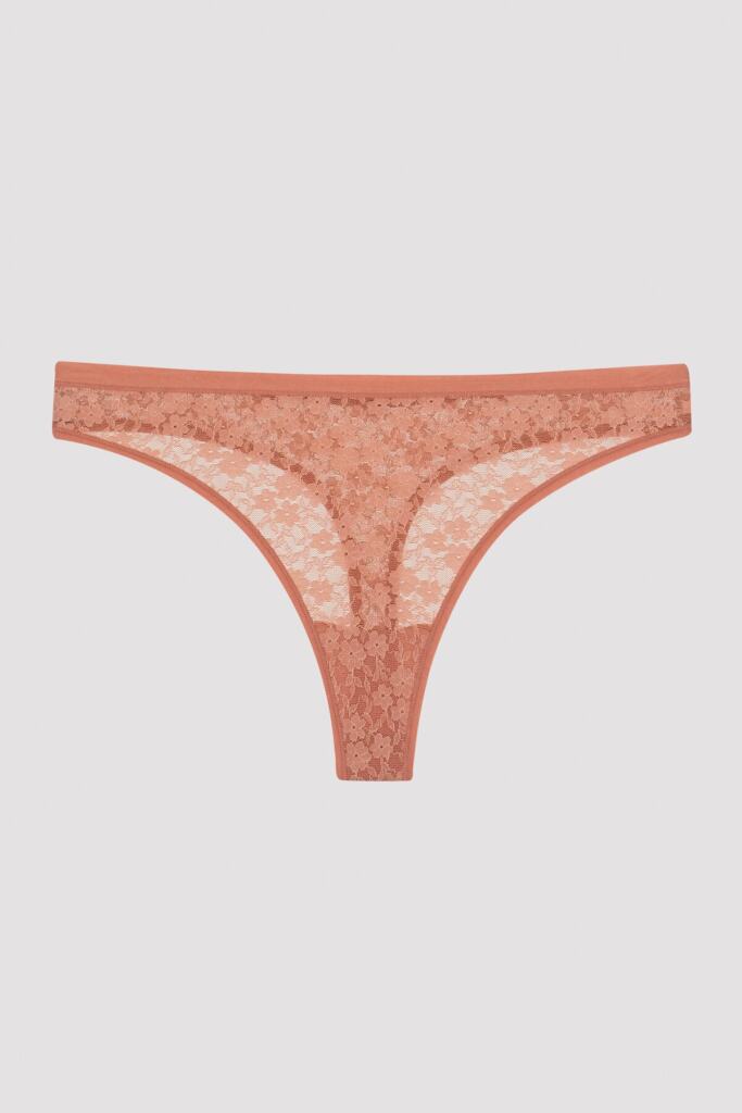 Sheer Lace Panty